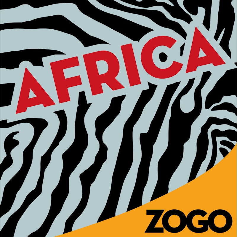 Afrique avec motif zèbre